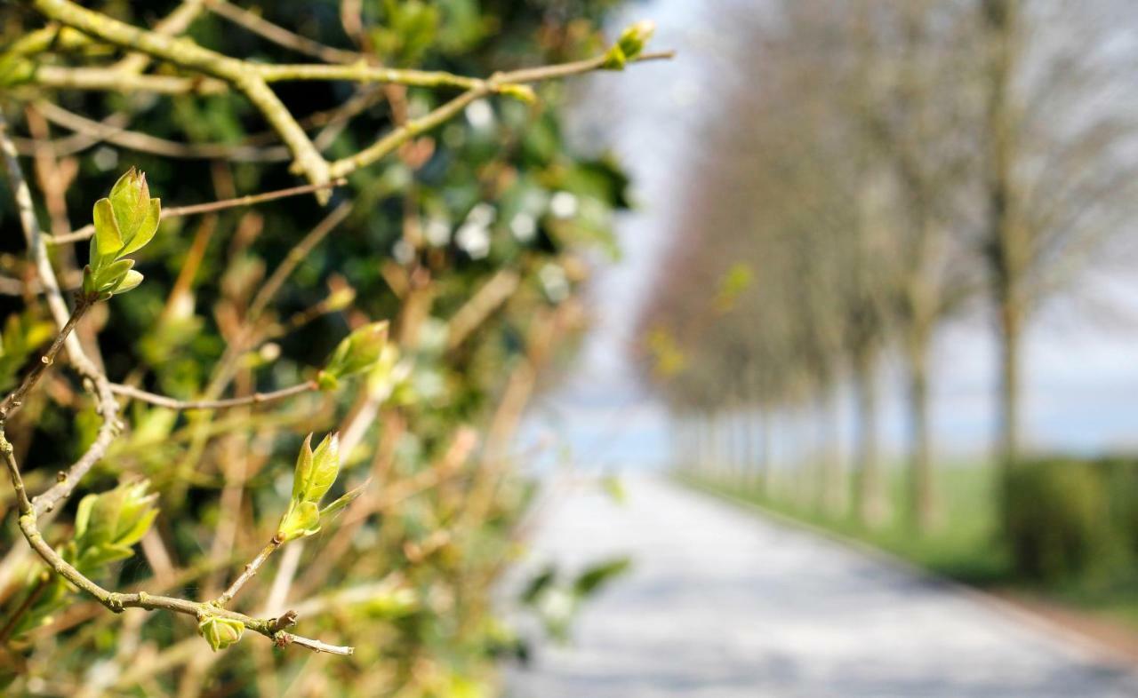 Vibaek Villa Sonderborg Ngoại thất bức ảnh